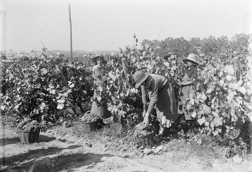 Fons d'imatges de Sant Sadurní d'Anoia a l'Arxiu Nacional de Catalunya 