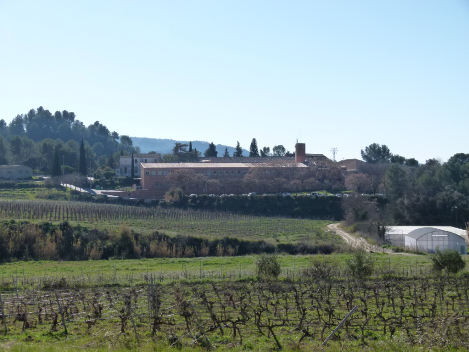 Escola Agrària de Viticultura i Enologia Mercè Rossell i Domènech