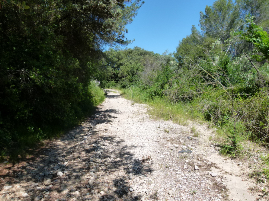 Carrerada de Collderes