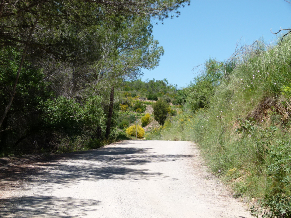 Carrerada del Puig Cogull