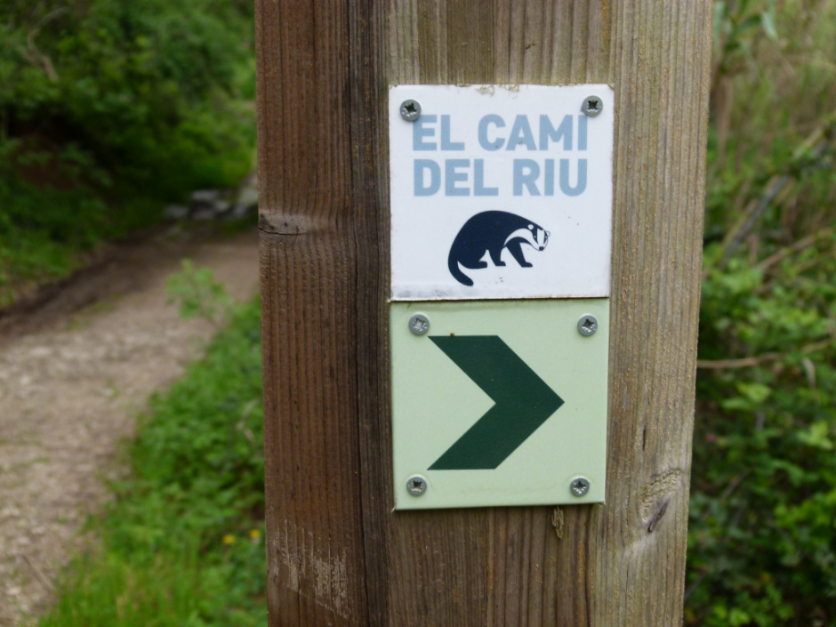 Camí del Riu