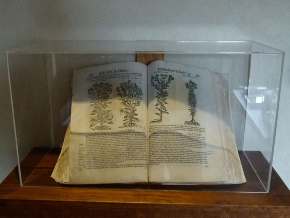 Biblioteca i arxiu Viader