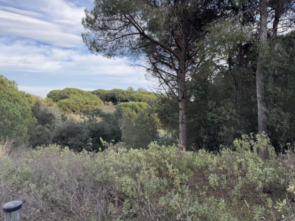 Vista general des d'una altra perspectiva. 