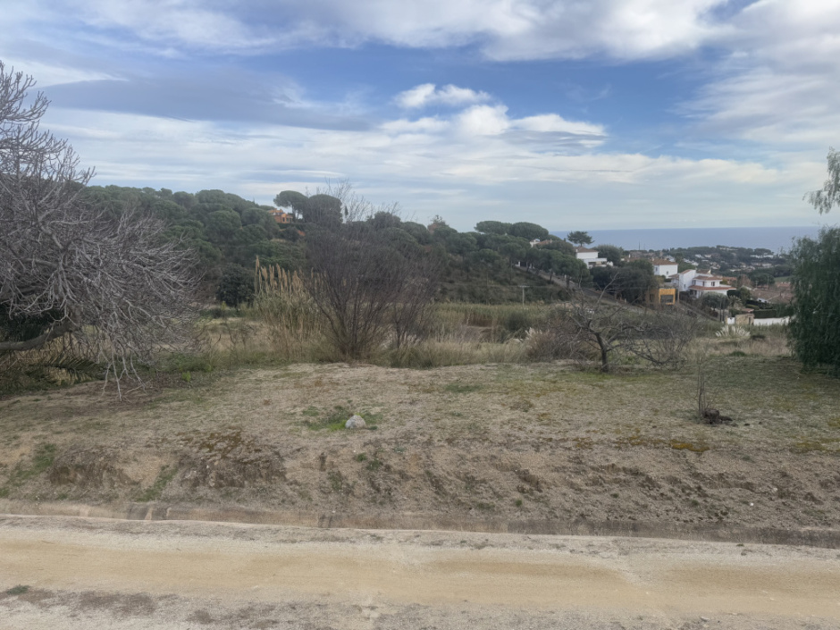 Vista general des d'una altra perspectiva. 