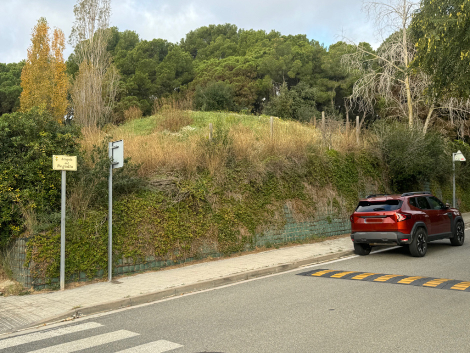 Zona de la troballa.