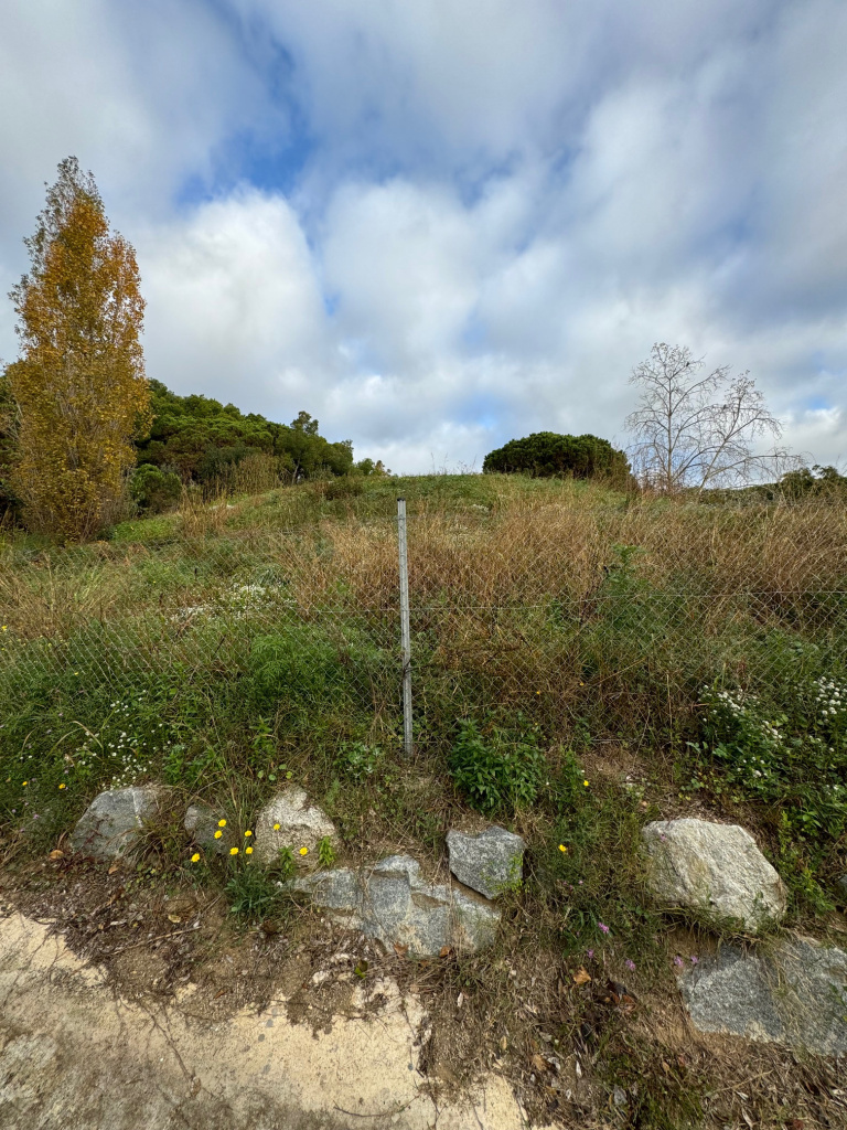 Zona de la troballa.