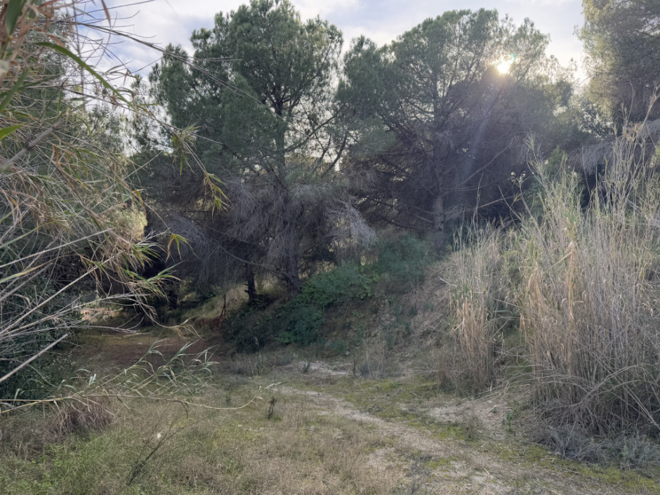 Vista general des d'una altra perspectiva. 