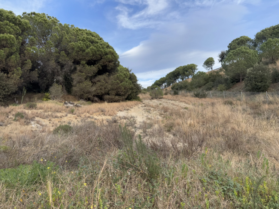Vista general des d'una altra perspectiva. 