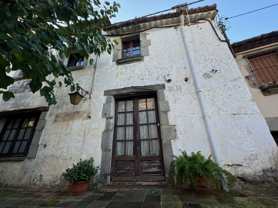 Detalls dels emmarcaments de pedra de granit del Montalt. 