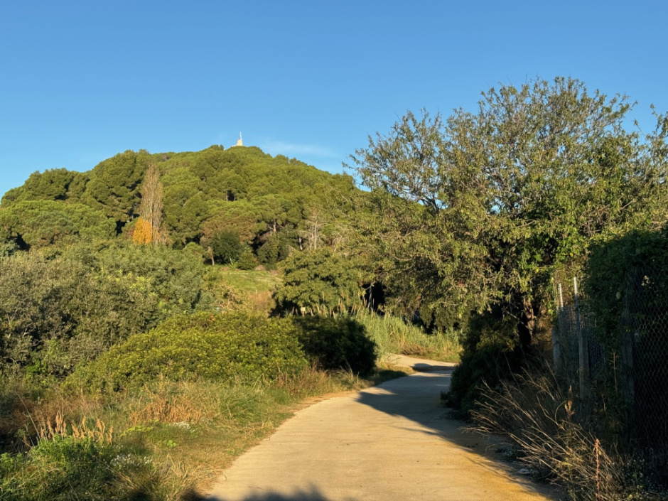 Camí d'accés al turó del Balís. Vista general. 