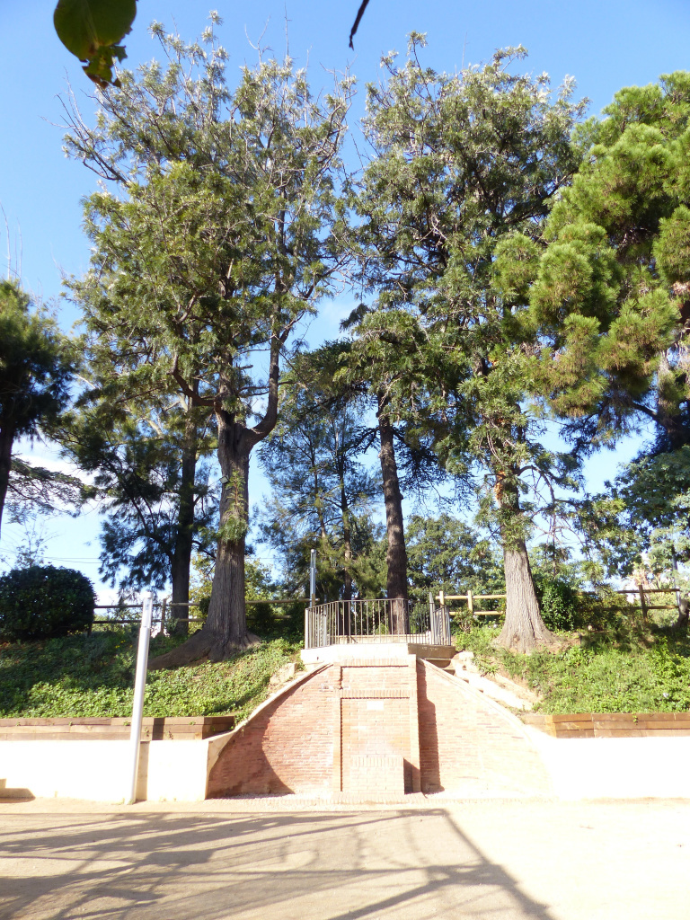 Detall d'un dels racons del Parc dels Germans Gabrielistes o Jardins de can Valls. 