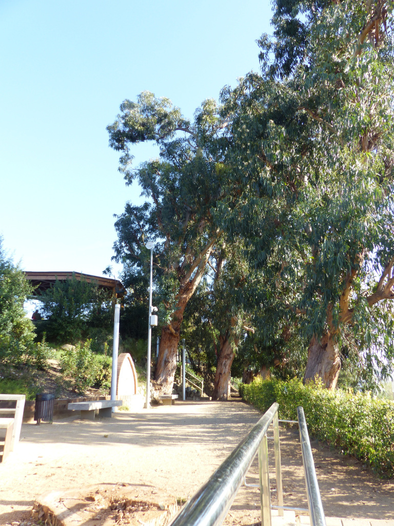 Detall d'un dels racons del Parc dels Germans Gabrielistes o Jardins de can Valls. 