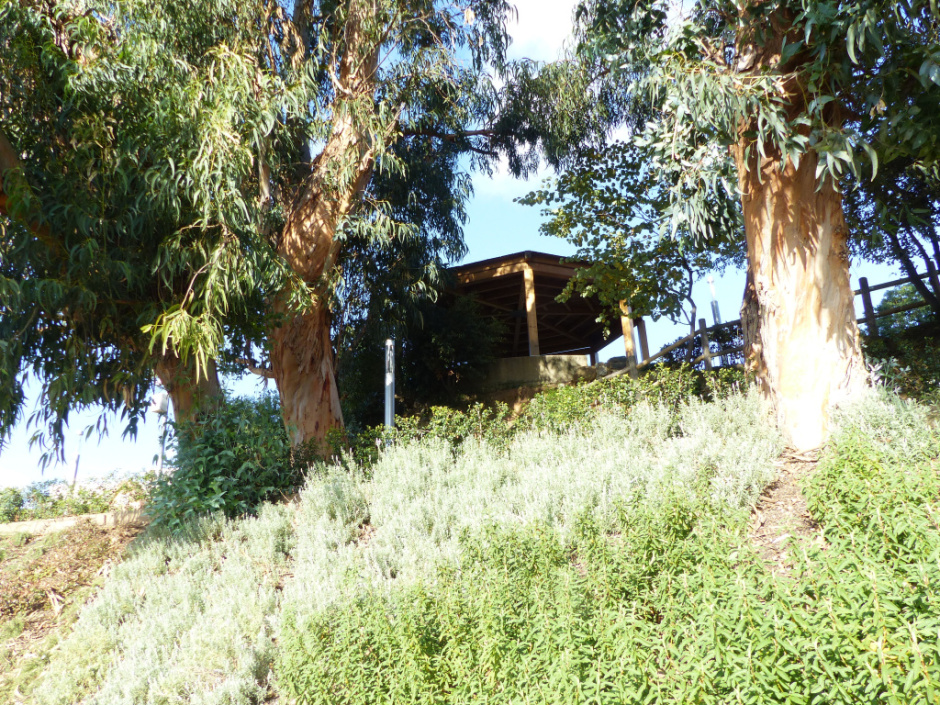 Detall d'un dels racons del Parc dels Germans Gabrielistes o Jardins de can Valls. 