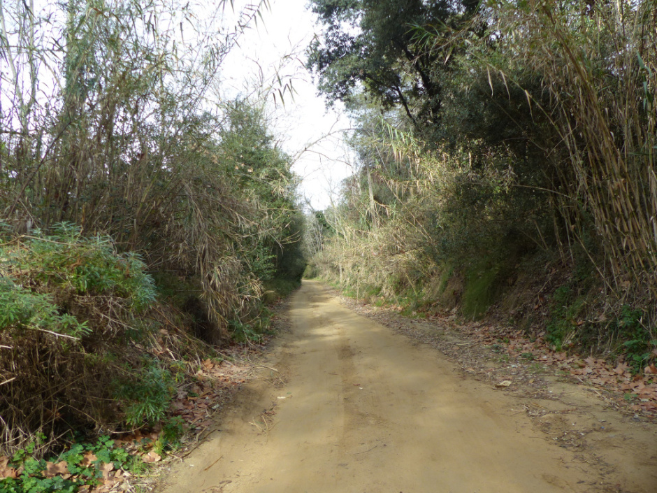 TRiera de Torrentbò. 