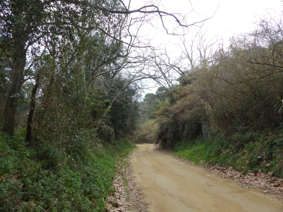 Riera de Torrentbò. 