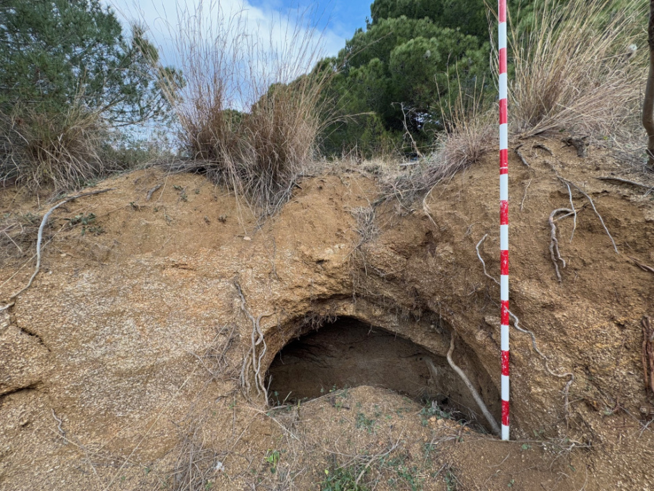 Alçada actual des de l'exterior. 