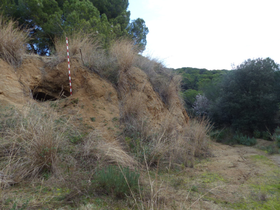 Detall de l'enfonsament de l'entrada. Detall. 