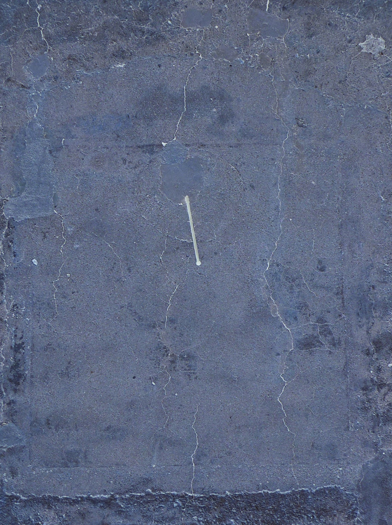 Tractament de la imatge Laura Bosch. 2024