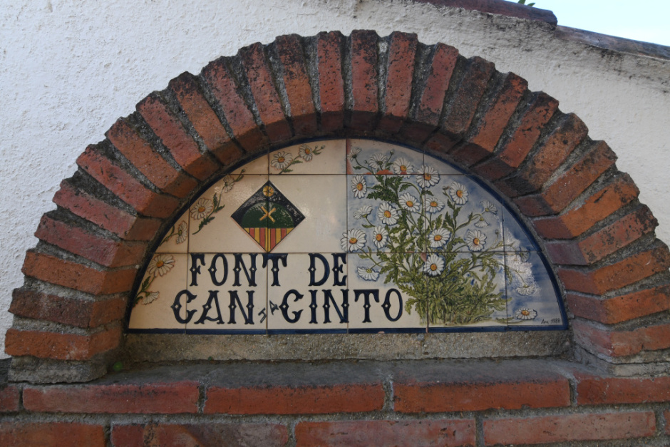 Detall del capcer enrajolat.