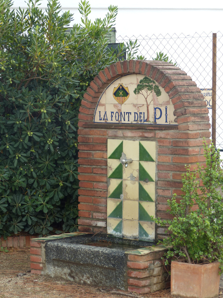 Font del Pi. Vista de la pica i sortidor. 