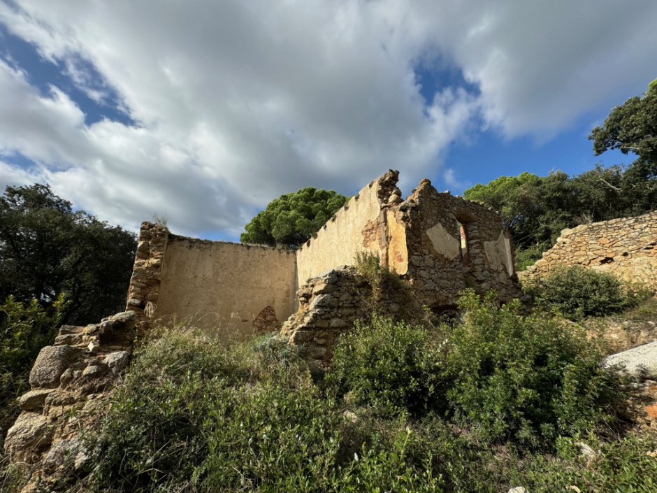 Casa del Bosc. Vista dels arrebossats. Casa del Bosc.