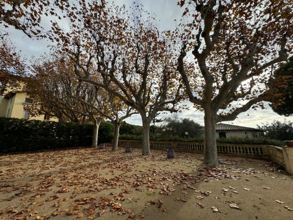 Jardí amb plataners al costat de llevant de la casa.