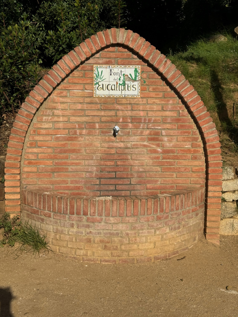 Font de l'Eucaliptus. Vista frontal. 