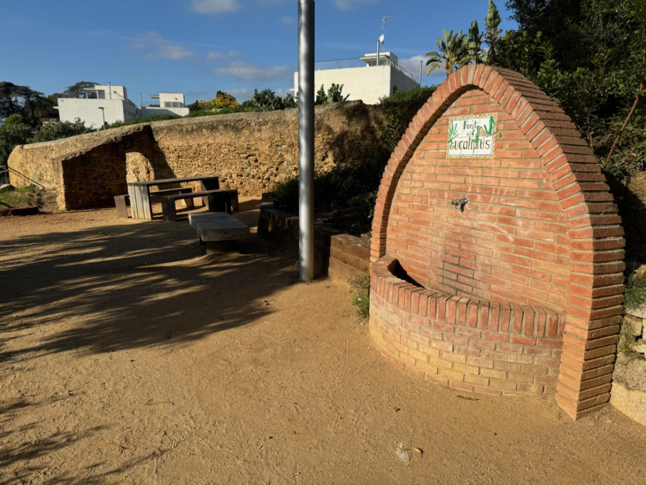 Font de l'Eucaliptus. Vista de l'entorn. 