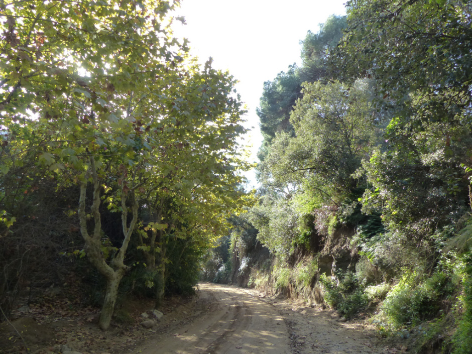 Riera de Sant Vicenç. 