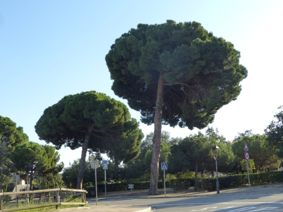 Vista general. Vista general. 