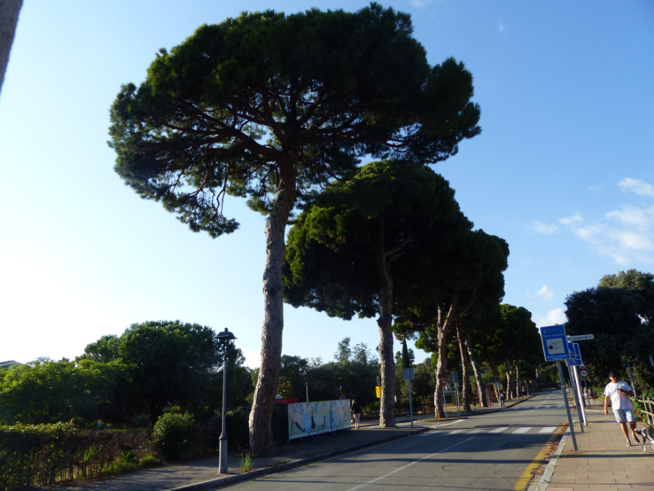 Vista general. Vista general. 