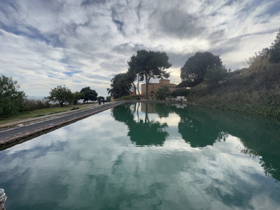 Bassa de can Mora de Dalt. 