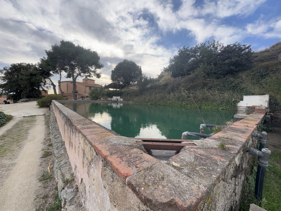 Bassa de can Mora de Dalt. 