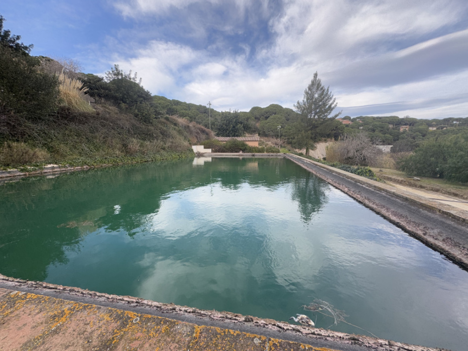 Bassa de can Mora de Dalt. 