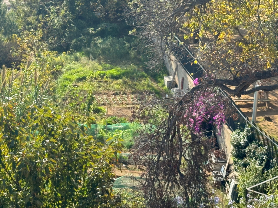 Vista general dels horts. 