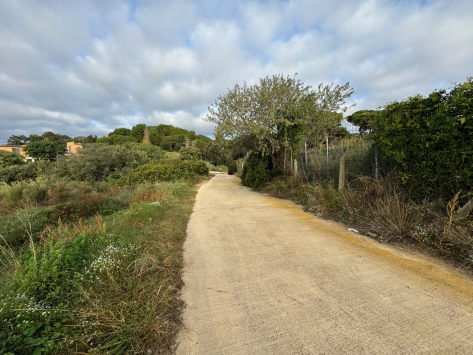 Camí del Mig. Tram. 