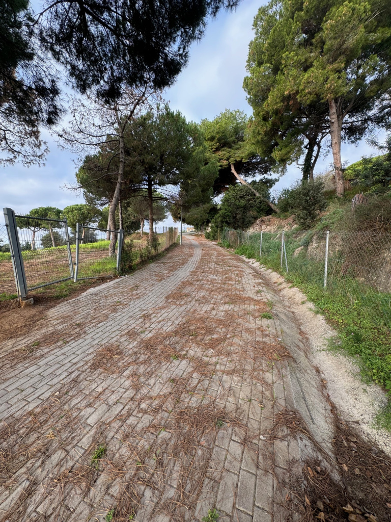Camí del Mig. Tram. 