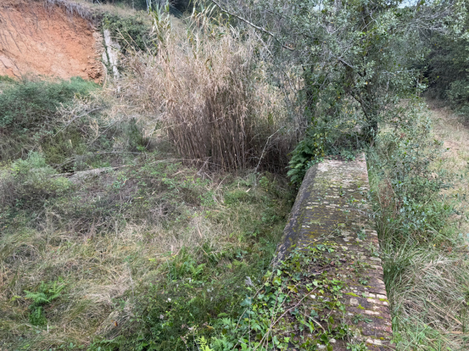 Molí d'en Gispert. Bassa de regar. 