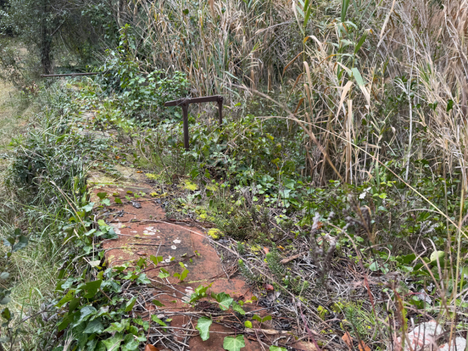 Molí d'en Gispert. Bassa de regar amb els cairons de la rentadora. 