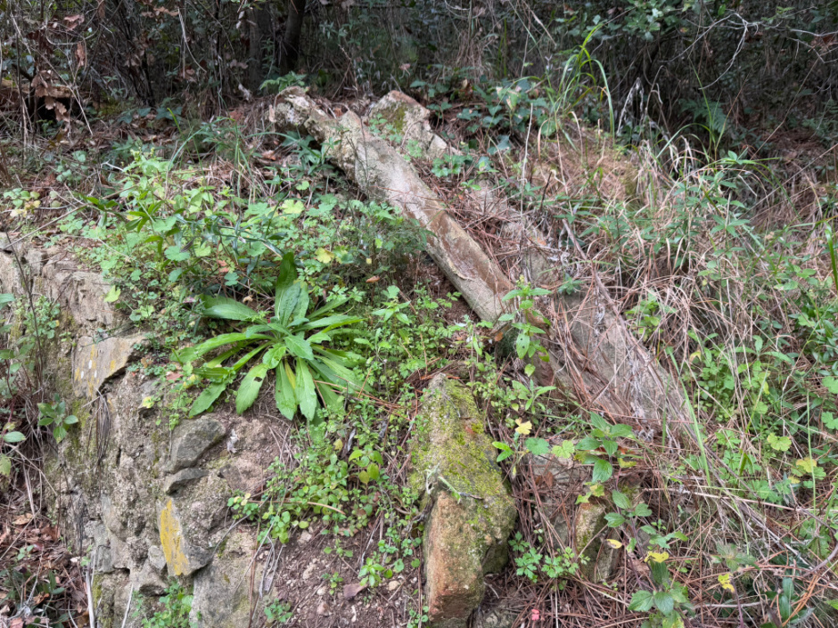Molí d'en Gispert. Murets de pedra amb canalitzacions de ceràmica. 