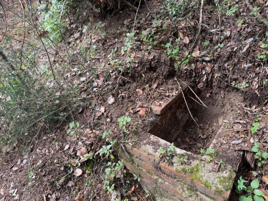 Molí d'en Gispert. Pericó. 