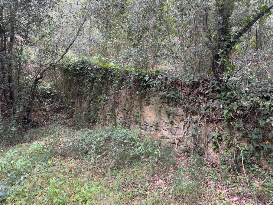 Molí d'en Gispert. Murs i passera. 