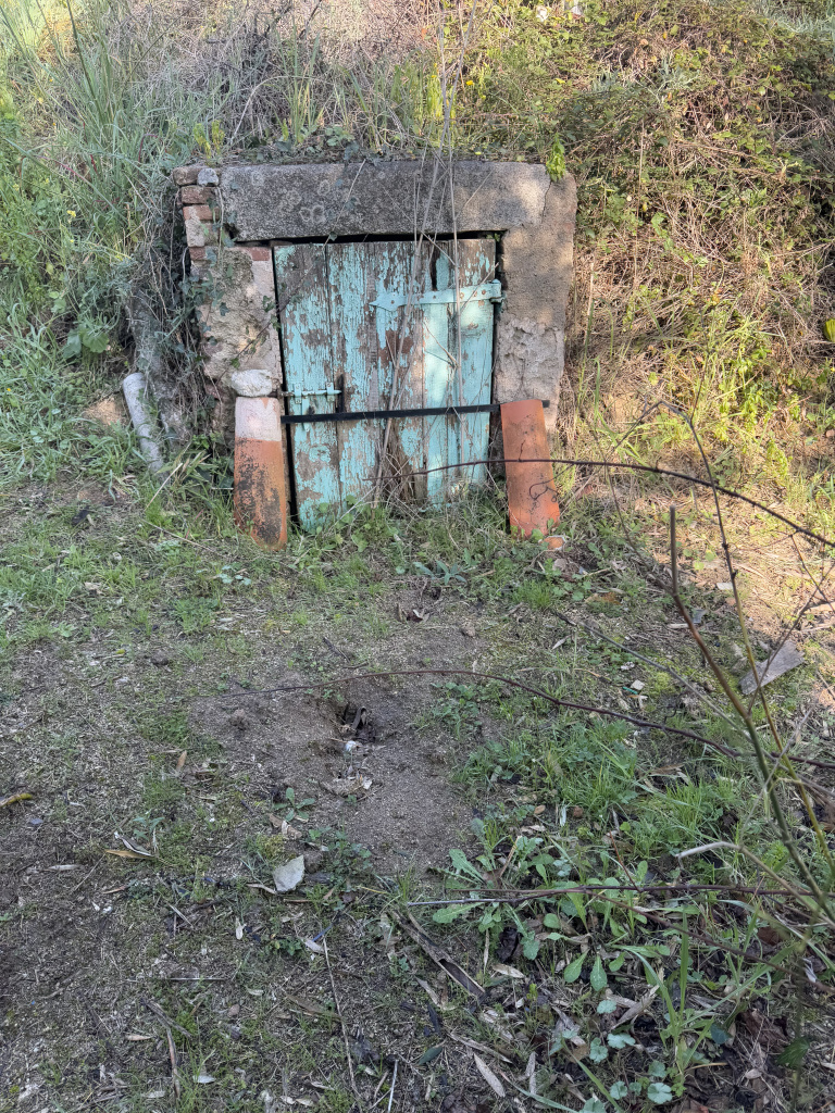 Entrada de la mina de la Font d'en Cinto. 