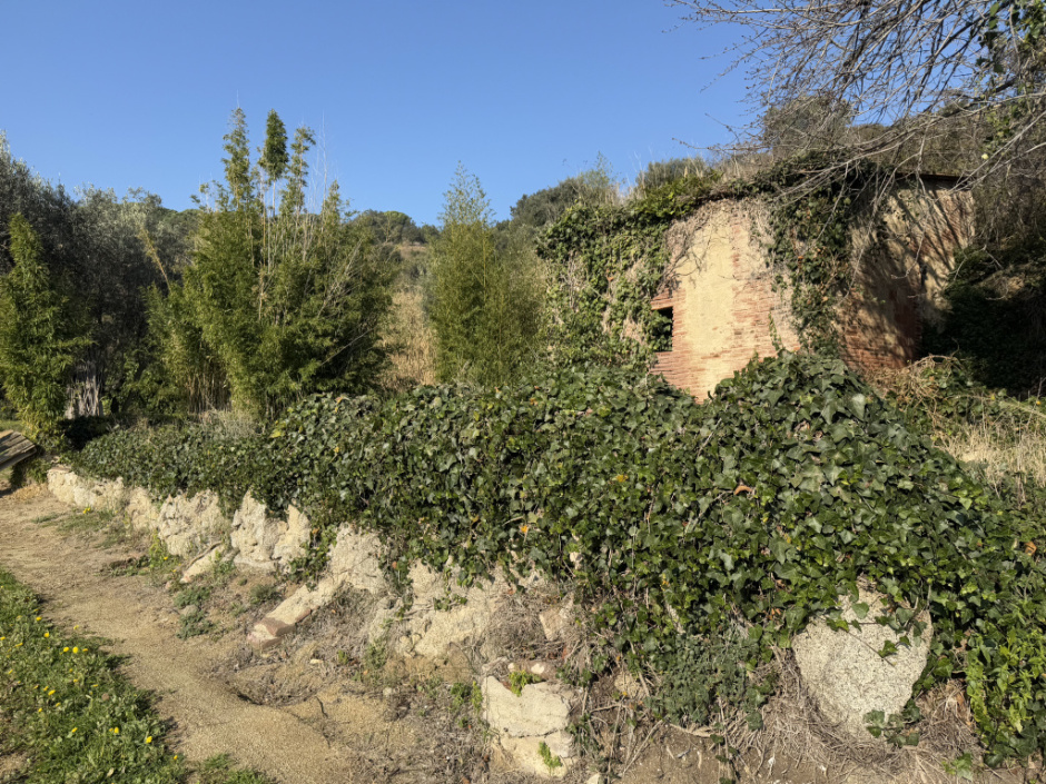 Barraca de la Font d'en Cinto. 