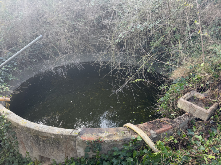 Font de can Ferran amb la pica i la bassa. 