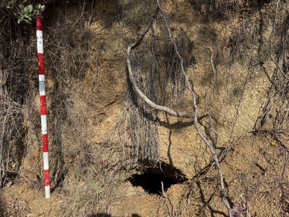 Vista de la boca de la cova. 