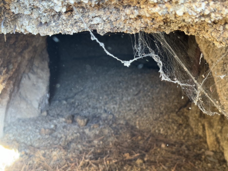 Vista de l'interior. 