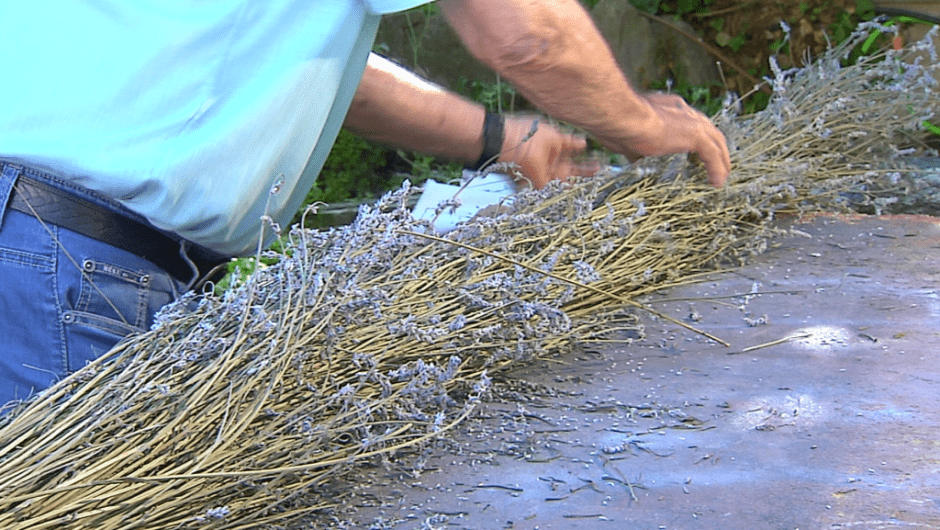 Elaboració de les atxes de Reis de Tona. Imatge de l'Ajuntament de Tona