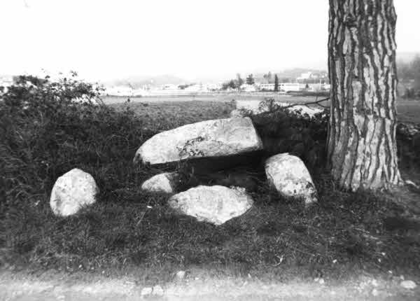 Vista del Jaciment. Font: Lluís Garcia (1983)