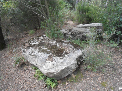 Imatge de la llosa principal del Dolmen. Font: Fotografia pròpia
